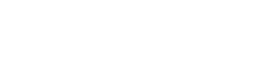 EUROWELDINGLOGO2blanco-removebg-preview